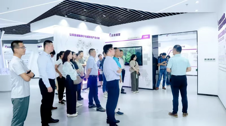 Hải Khởi Tiền Hải